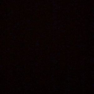 Meet your Posher, Isabella